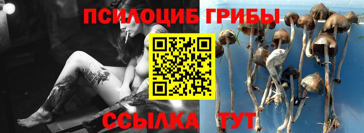 Псилоцибиновые грибы GOLDEN TEACHER  Вход с VPN  Волжск 